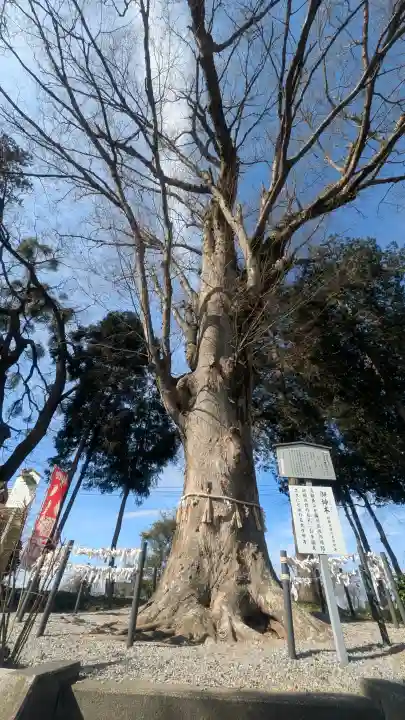 薬師寺八幡宮の{uncategorized: "未分類", other: "その他", undefined: "問題あり", building: "その他建物", grave: "お墓", sacred_gate: "鳥居", guardian: "狛犬", statue: "像", buddha: "仏像", history: "歴史", nature: "自然", garden: "庭園", animal: "動物", pagoda: "塔", temizu: "手水舎", mountain_gate: "山門・神門", sanctuary: "本殿・本堂", subordinate: "末社・摂社", art: "芸術", scenery: "景色", jizo: "地蔵", ema: "絵馬", goshuin: "御朱印", omikuji: "おみくじ", items: "授与品その他", amulet: "お守り", goshuincho: "御朱印帳", eats: "食事", festival: "お祭り", votive_dance: "神楽", shichigosan: "七五三参", wedding: "結婚式", experience: "体験その他", initially: "初詣", around: "周辺", anti_infection: "感染症対策"}