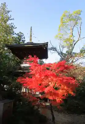円成寺(奈良県)
