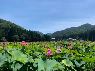 鵜甘神社(福井県)