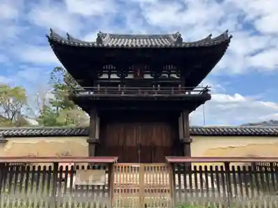 般若寺 ❁﻿コスモス寺❁(奈良県)