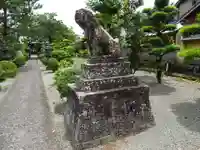 筑後乃国阿蘇神社の狛犬