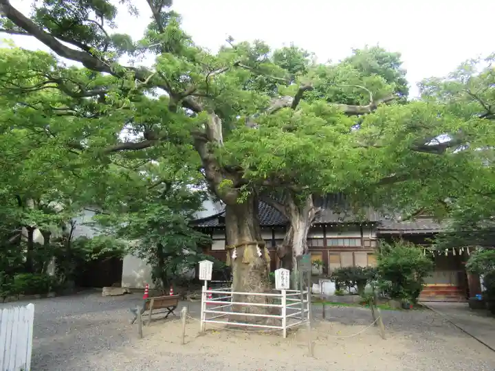 生根神社(大阪府)