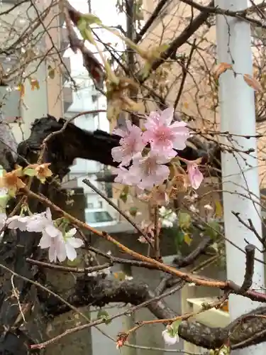 素盞男神社の自然