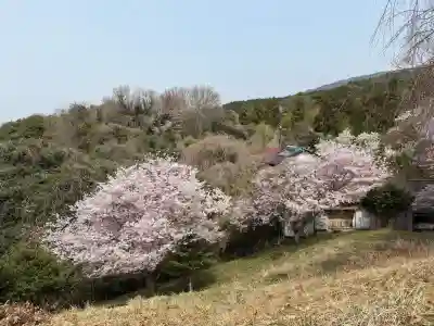 大神神社の{uncategorized: "未分類", other: "その他", undefined: "問題あり", building: "その他建物", grave: "お墓", sacred_gate: "鳥居", guardian: "狛犬", statue: "像", buddha: "仏像", history: "歴史", nature: "自然", garden: "庭園", animal: "動物", pagoda: "塔", temizu: "手水舎", mountain_gate: "山門・神門", sanctuary: "本殿・本堂", subordinate: "末社・摂社", art: "芸術", scenery: "景色", jizo: "地蔵", ema: "絵馬", goshuin: "御朱印", omikuji: "おみくじ", items: "授与品その他", amulet: "お守り", goshuincho: "御朱印帳", eats: "食事", festival: "お祭り", votive_dance: "神楽", shichigosan: "七五三参", wedding: "結婚式", experience: "体験その他", initially: "初詣", around: "周辺", anti_infection: "感染症対策"}
