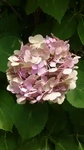 矢先稲荷神社(東京都)