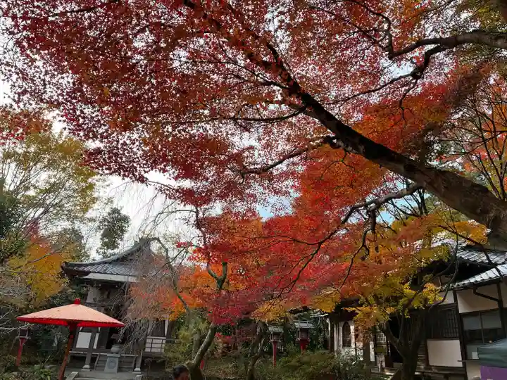 常照寺(京都府)