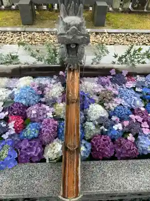粟井神社(香川県)