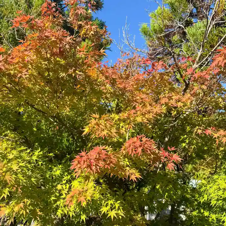 伊勢の国 四天王寺(三重県)