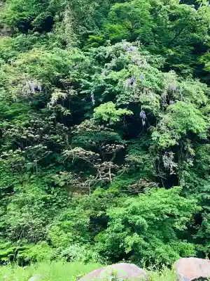 妙龍神社(新潟県)