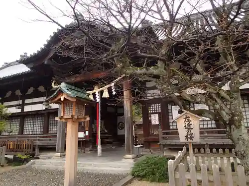 誉田八幡宮の本殿