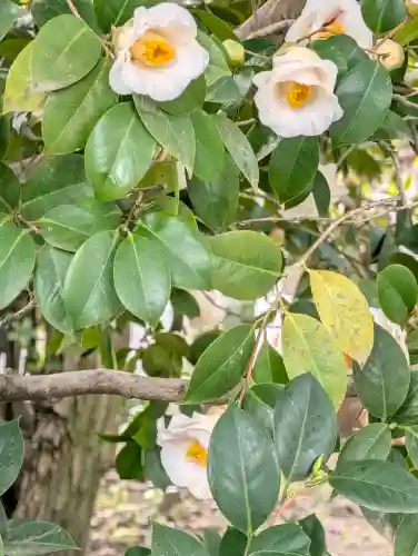 城南宮の{uncategorized: "未分類", other: "その他", undefined: "問題あり", building: "その他建物", grave: "お墓", sacred_gate: "鳥居", guardian: "狛犬", statue: "像", buddha: "仏像", history: "歴史", nature: "自然", garden: "庭園", animal: "動物", pagoda: "塔", temizu: "手水舎", mountain_gate: "山門・神門", sanctuary: "本殿・本堂", subordinate: "末社・摂社", art: "芸術", scenery: "景色", jizo: "地蔵", ema: "絵馬", goshuin: "御朱印", omikuji: "おみくじ", items: "授与品その他", amulet: "お守り", goshuincho: "御朱印帳", eats: "食事", festival: "お祭り", votive_dance: "神楽", shichigosan: "七五三参", wedding: "結婚式", experience: "体験その他", initially: "初詣", around: "周辺", anti_infection: "感染症対策"}