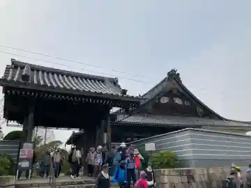 本照寺の{uncategorized: "未分類", other: "その他", undefined: "問題あり", building: "その他建物", grave: "お墓", sacred_gate: "鳥居", guardian: "狛犬", statue: "像", buddha: "仏像", history: "歴史", nature: "自然", garden: "庭園", animal: "動物", pagoda: "塔", temizu: "手水舎", mountain_gate: "山門・神門", sanctuary: "本殿・本堂", subordinate: "末社・摂社", art: "芸術", scenery: "景色", jizo: "地蔵", ema: "絵馬", goshuin: "御朱印", omikuji: "おみくじ", items: "授与品その他", amulet: "お守り", goshuincho: "御朱印帳", eats: "食事", festival: "お祭り", votive_dance: "神楽", shichigosan: "七五三参", wedding: "結婚式", experience: "体験その他", initially: "初詣", around: "周辺", anti_infection: "感染症対策"}