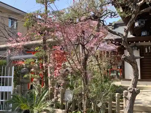 一宮神社の自然