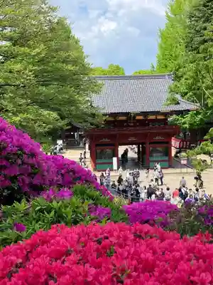 根津神社(東京都)