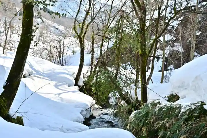 竹之高地不動社(新潟県)