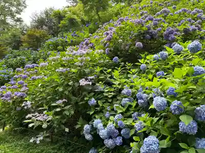 鷲子山上神社(栃木県)
