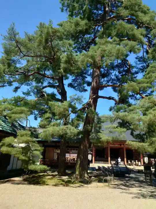 毛越寺(岩手県)