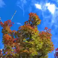 寿量山 速成寺の自然