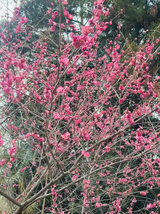 永谷天満宮(神奈川県)