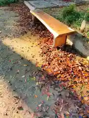 川田八幡神社の自然