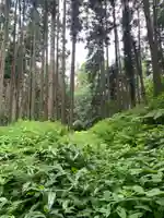 稲荷神社(千葉県)