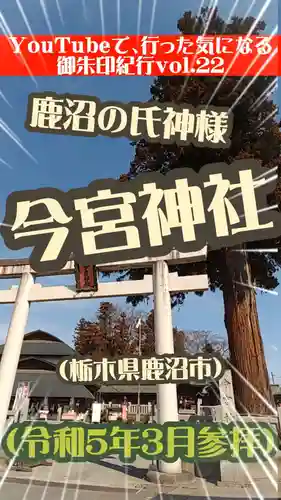 鹿沼今宮神社(栃木県)