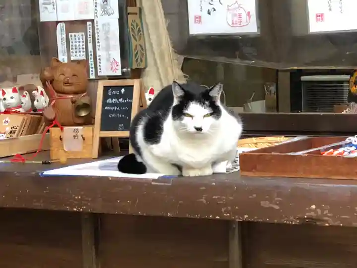 王子神社の動物