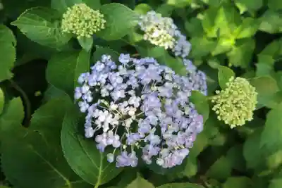 性海寺(愛知県)