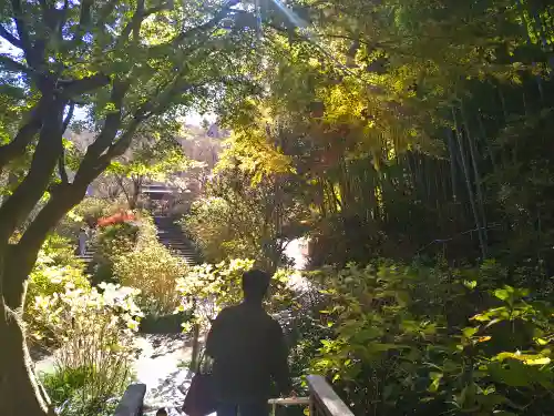 明月院(神奈川県)