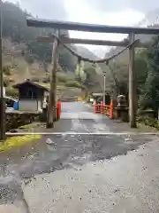 代々木神社の鳥居