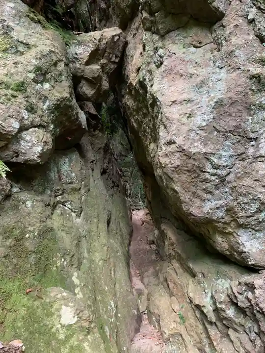 韓竈神社の自然