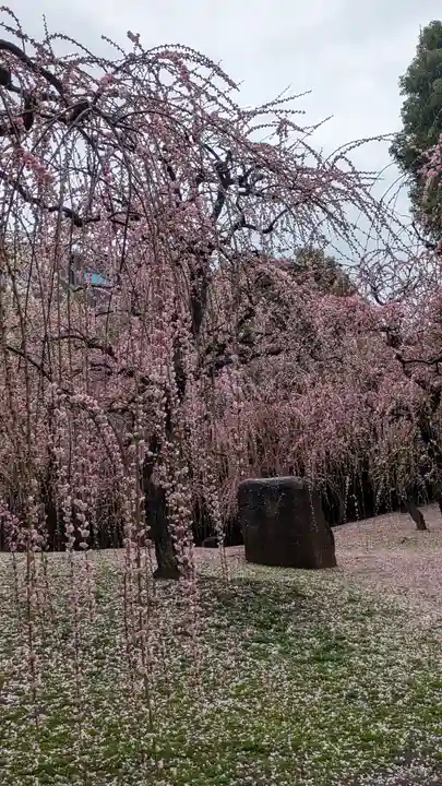 城南宮(京都府)
