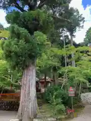 海住山寺(京都府)