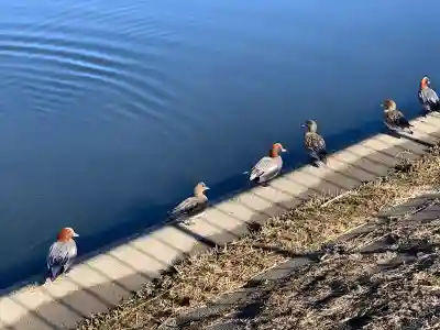 岩淵八雲神社(東京都)