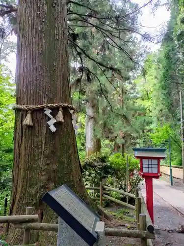 高尾山薬王院(東京都)