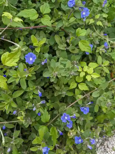 斎場御嶽(沖縄県)