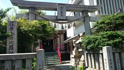 荏原金刀比羅神社の鳥居