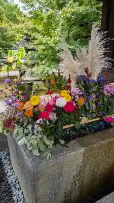 勝林寺(京都府)