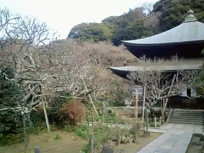 瑞泉寺の本殿・本堂