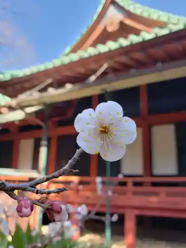 赤坂氷川神社(東京都)