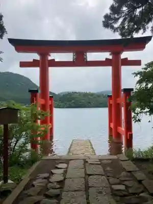 箱根神社の鳥居