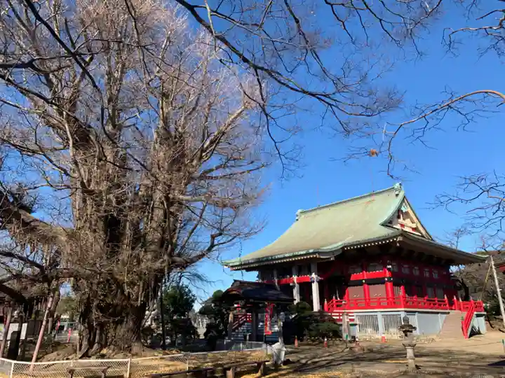 千葉寺の本殿・本堂