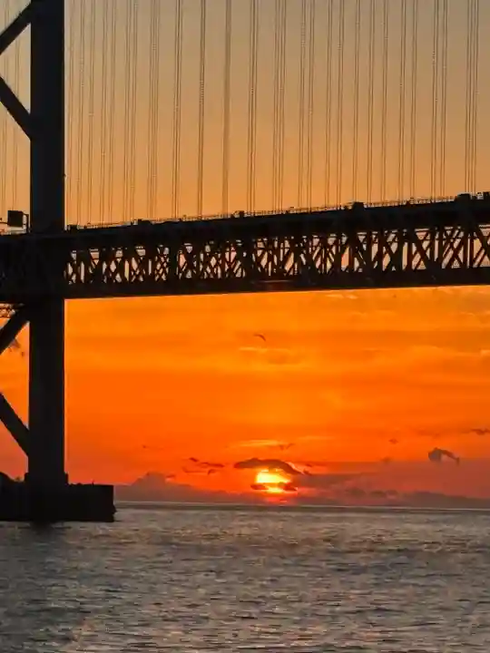 兵庫住吉神社(兵庫県)