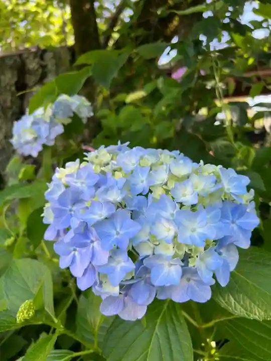 高麗神社(埼玉県)