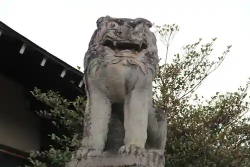 開成山大神宮の狛犬