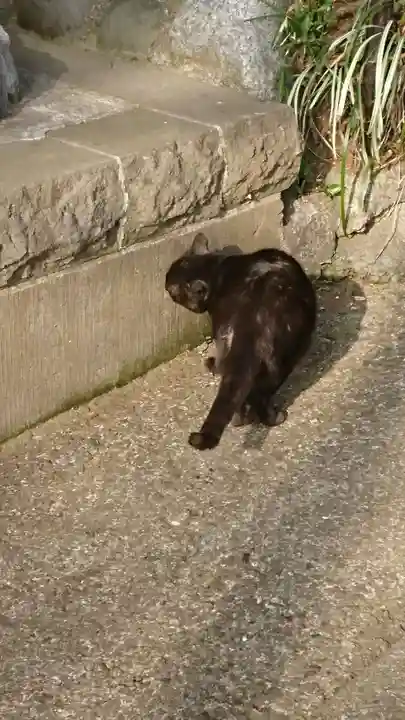 弥生神社の動物