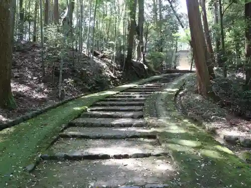 正伝護国禅寺(正伝寺･正傳寺)(京都府)