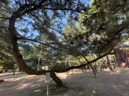 石清水神社(香川県)