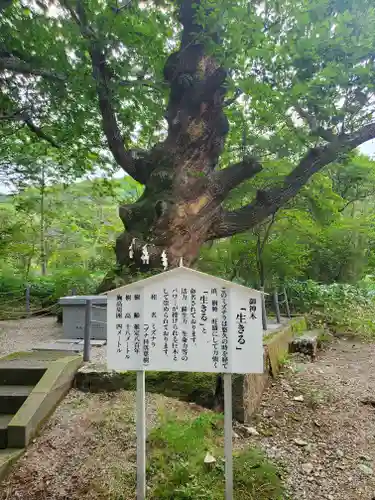 那須温泉神社の自然