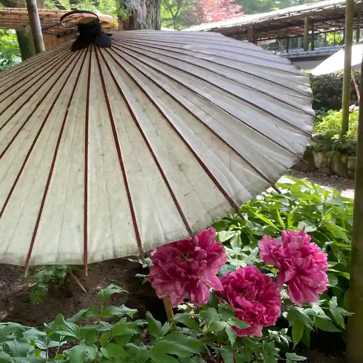 上野東照宮(東京都)